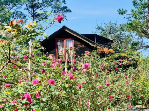Romantic house 2 on a pine hill Dalat
